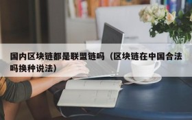 国内区块链都是联盟链吗（区块链在中国合法吗换种说法）