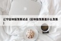 辽宁区块链发票试点（区块链发票是什么发票）