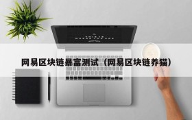 网易区块链暴富测试(网易区块链养猫)