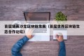 首届链英沙龙区块链发展（首届世界区块链生态合作论坛）