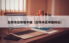 比特币区块链中国(比特币区块链网址)