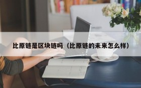 比原链是区块链吗（比原链的未来怎么样）