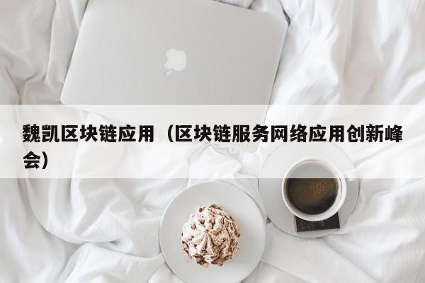 魏凯区块链应用（区块链服务网络应用创新峰会）